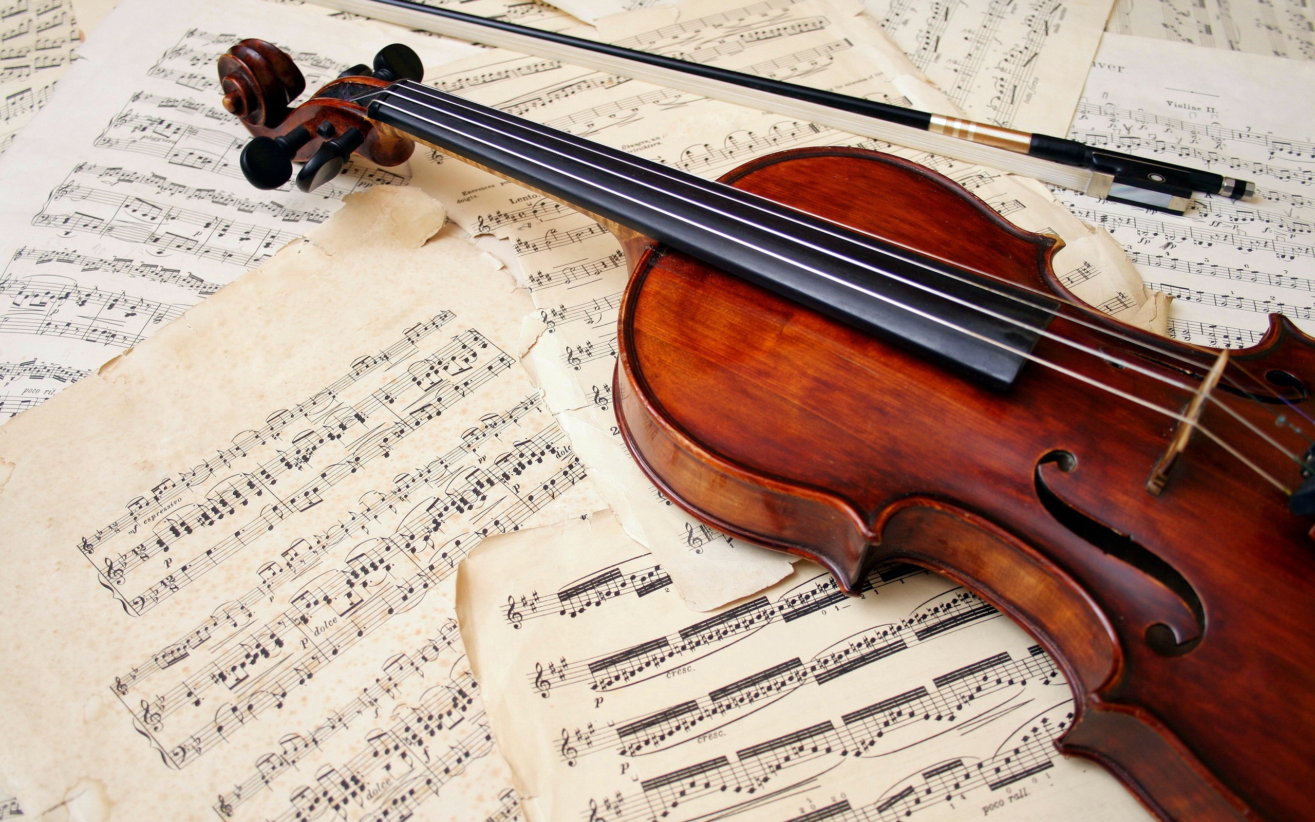 Violin